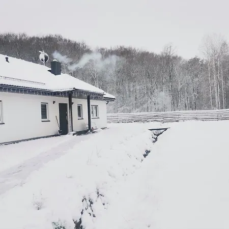 ヴィラ Przystanek Przywidz