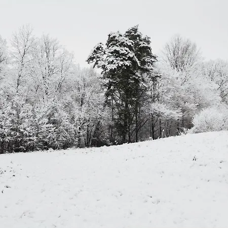 Przystanek Przywidz ヴィラ *