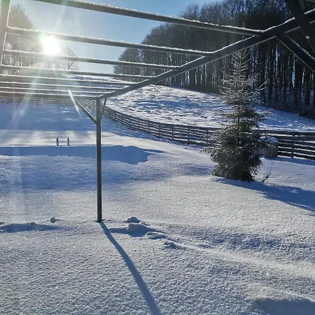 Przystanek Przywidz Trzepowo (Pomerania)