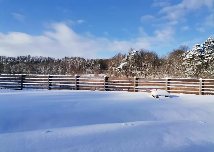 Przystanek Przywidz Trzepowo (Pomerania)