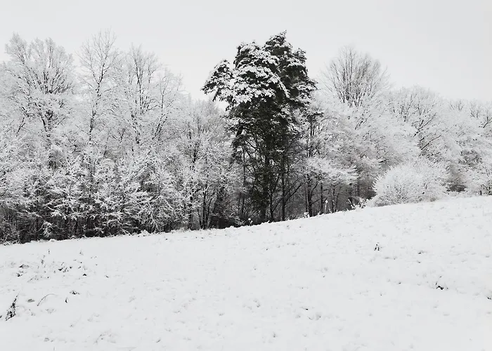 Przystanek Przywidz Villa *