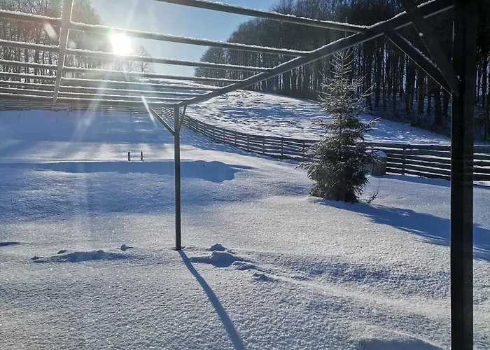 Przystanek Przywidz Trzepowo (Pomerania)